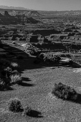 05 03 Utah19-2-1276-2