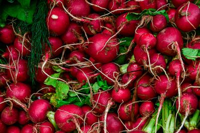 09 04 Radishes in local market India-2-2405