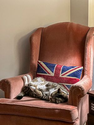 g13/31/528631/3/175084002.d9f617c1.JPEG
