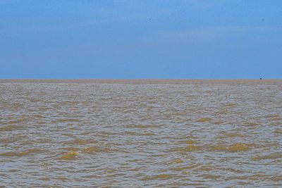 08 26 Big change in the water color; entering the  Kinabatangan River outflow 4443