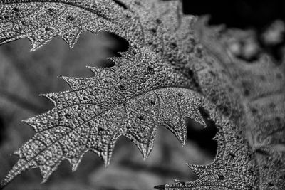 g13/31/528631/3/175195439.7e134b57.JPEG
