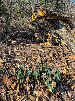 g13/31/528631/3/175243674.34f67d65.JPEG