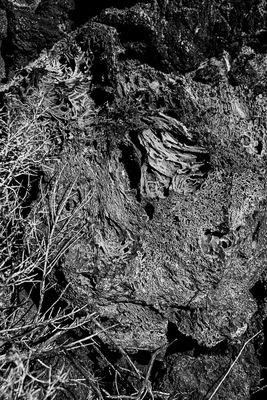 07 19 Glassy lava 7931