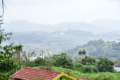 g13/31/528631/3/175252049.cb546fd0.JPEG