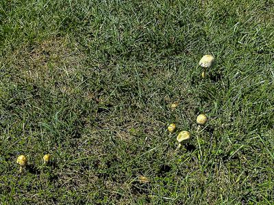 g13/31/528631/3/175279327.7b343c32.JPEG