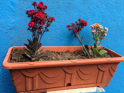 04 02 Decour Moroc-i063N