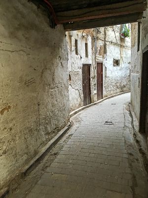 g13/31/528631/3/175280726.08bb7752.JPEG
