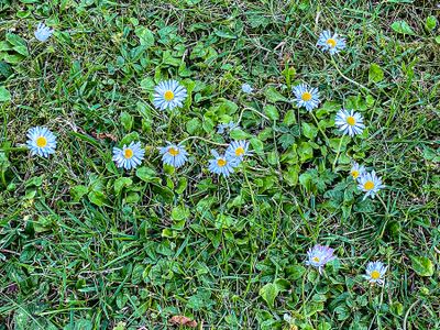 g13/31/528631/3/175291601.f7817357.JPEG
