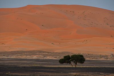04 02 Dune at sunset Moroc-4416