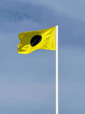 g13/31/528631/3/175304492.7f18ed0a.JPEG