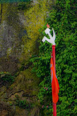 g13/31/528631/3/175363688.95d0de63.JPEG