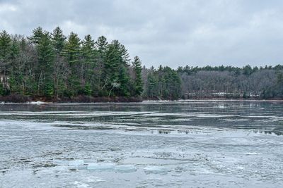 2025 01 18 On Walden Pond 0386