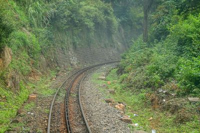 09 05 Misty grade 2897