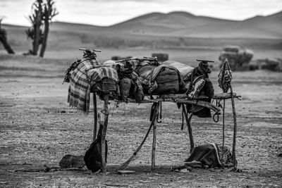 2019 04 03 Saddles waiting Moroc-4502-2