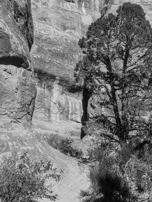 g13/31/528631/3/175456663.a67e6292.JPEG