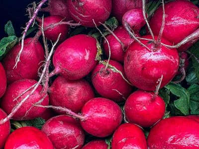 2025 05 11 Radishes i3867