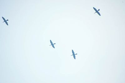 2025 03 13 Flying through smoke from wildfire 0742