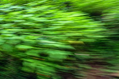 09 05 Whoosh! India-2-3013