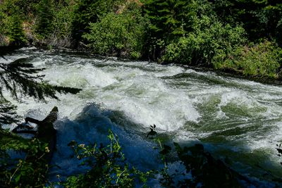 2024 07 19 Upper Deschutes River 8015