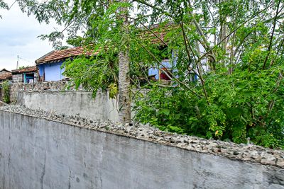 g13/31/528631/3/175682383.c2b6de6d.JPEG