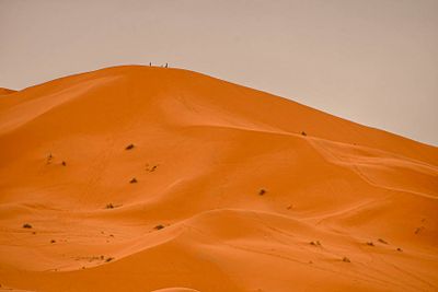 2019 04 03 Dune toppers Moroc-4731