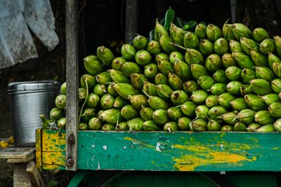 2017 09 06 Sweet corn ready to roast India-2-3273