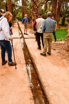2019 04 03 Checking out irrigated desert plantings Moroc-4754