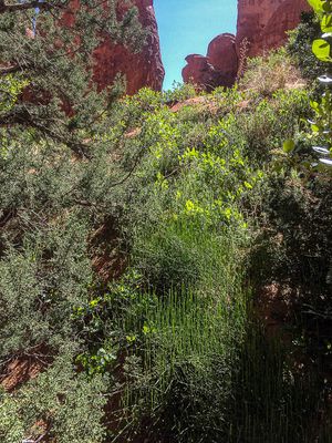 g13/31/528631/3/175801473.71046a75.JPEG