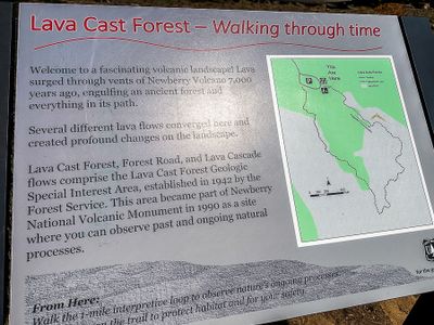 Lava Cast Forest - Deschutes Natl. Forest