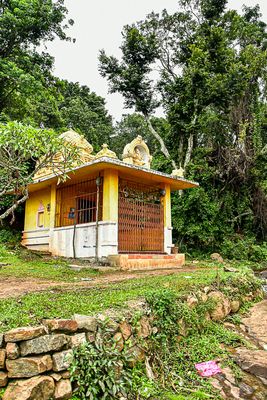 2017 09 06 Roadside shrine India-2-3791