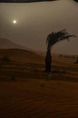 2019 04 03 Sun trying to come through Moroc-4903