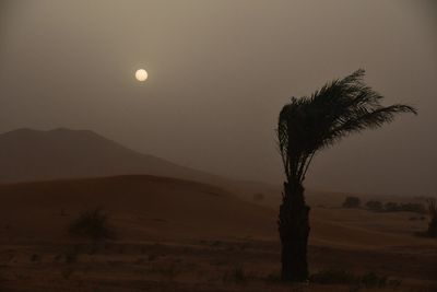 2019 04 03 Sun trying to come through Moroc-4907