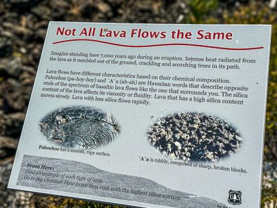 2024 07 20 Lava Cast Forest i7159