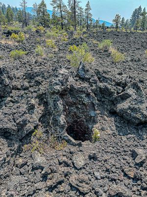 2024 07 20 Lava Cast Forest - Deschutes Natl. Forest i7171