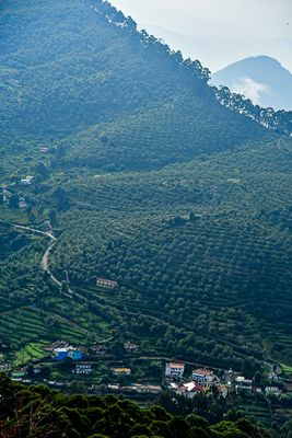 2017 09 06 Kodaikanal India-2-3896