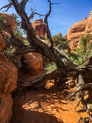 2019 05 03 Utah19-2-i2193