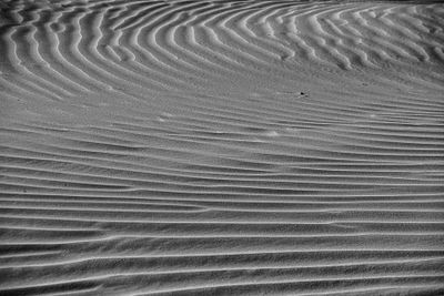 2019 04 04 Erg Chebbi - Merzouga Moroc-5004-2