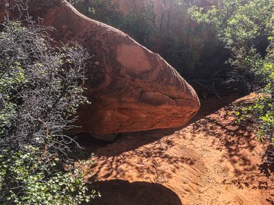 2019 05 03 Dinosaur fossil?! Utah19-2-i2197