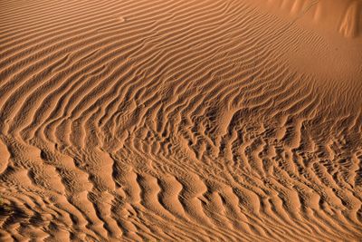 2019 04 04 Erg Chebbi - Merzouga Moroc-5006