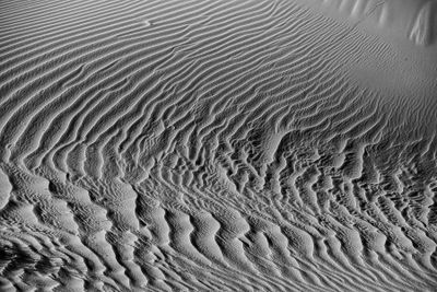 2019 04 04 Erg Chebbi - Merzouga Moroc-5006-2