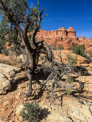 2019 05 03 Utah19-2-i2235