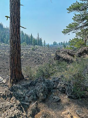 2024 07 20 Looking out over the lava river - Lava Casts Natl. Forest i7251