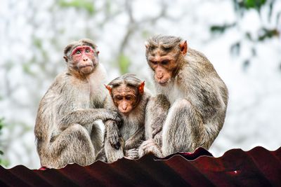 2017 09 07 Family India-2-4035-2