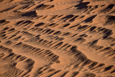 2019 04 04 - Erg Chebbi - Merzouga Moroc-5034