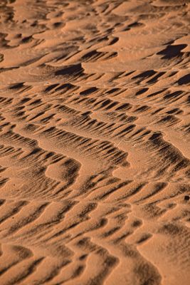 2019 04 04 - Erg Chebbi - Merzouga Moroc-5036