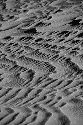 2019 04 04 - Erg Chebbi - Merzouga Moroc-5036-2