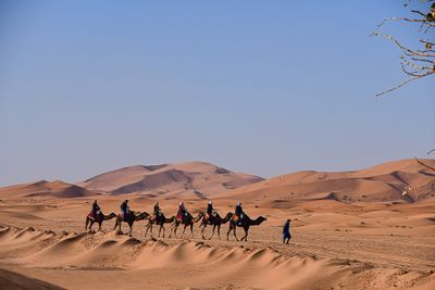 2019 04 04 - Erg Chebbi - Merzouga Moroc-5056