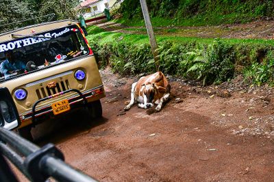 2017 09 07 Welcome to India - Kodai India-2-4069-2