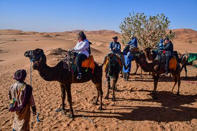 2019 04 04 Strung together - Erg Chebbi - Merzouga Moroc-5059