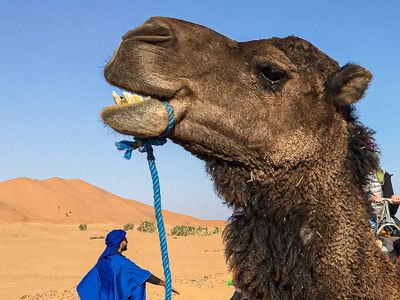 2019 04 04 - Erg Chebbi - Merzouga Moroc-i0735